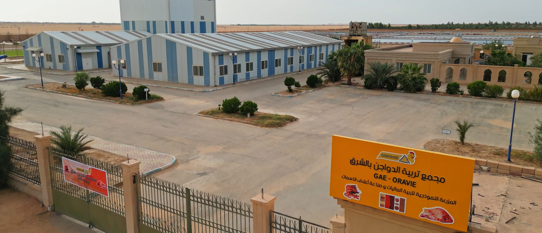 Ferme aquacole Hassi Ben Abdellah